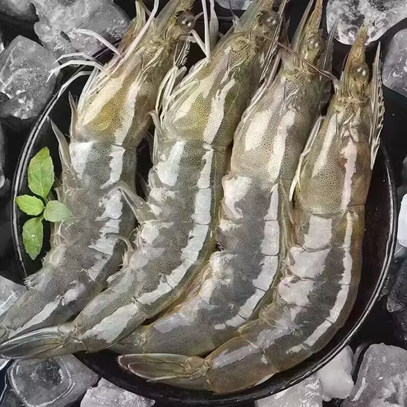 微信图片_20250419003145.jpg