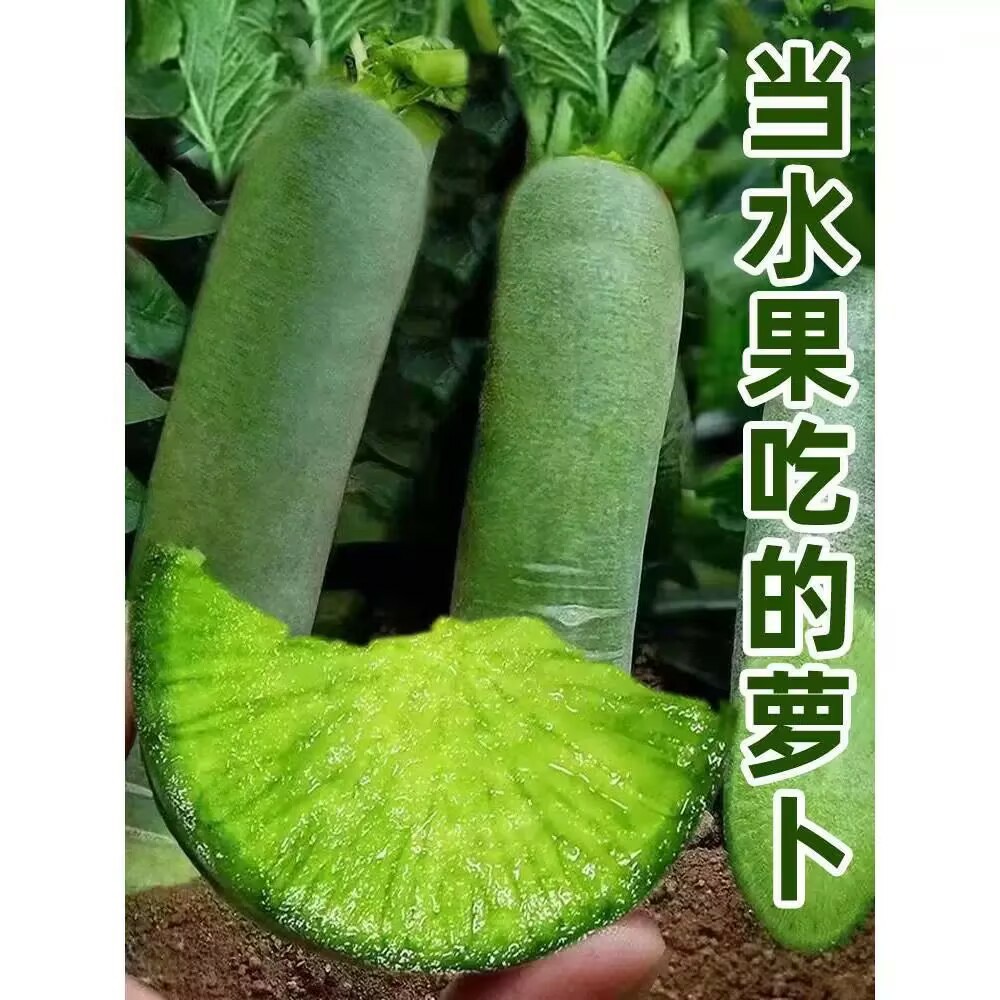 3E6C1613B050E3377E64F48B76B8AE93.jpg