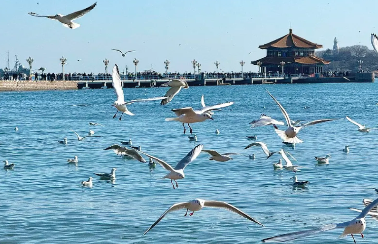 图片[1]-栈桥
